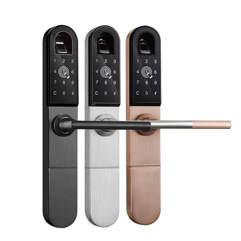 Biometric Fingerprint Door Lock Smart Home