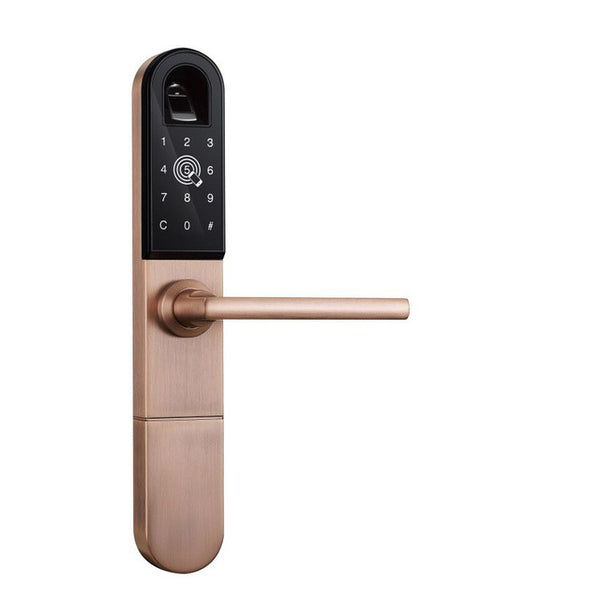 Biometric Fingerprint Door Lock Smart Home
